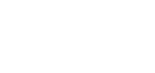 Chicago Biomedical Consortum